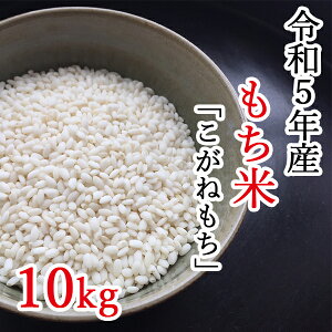 【ふるさと納税】【令和5年産】平泉町産もち米 こがねもち 10kg　令和5年 精米 岩手 平泉 ひとめぼれ もち米 もち 餅 糯米