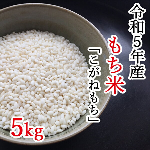 【ふるさと納税】【令和5年産】平泉町産もち米 こがねもち 5kg　令和5年 精米 岩手 平泉 ひとめぼれ もち米 もち 餅 糯米