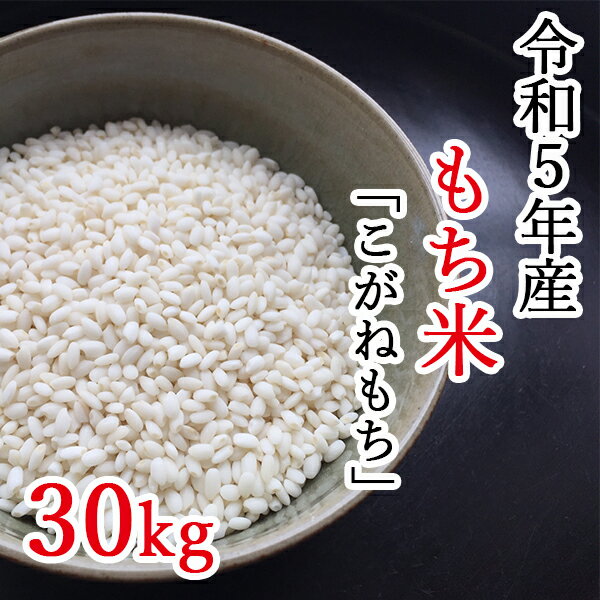 【ふるさと納税】【令和5年産】平泉町産もち米 こがねもち 30kg　令和5年 精米 岩手 平泉 ひとめぼれ もち米 もち 餅 糯米