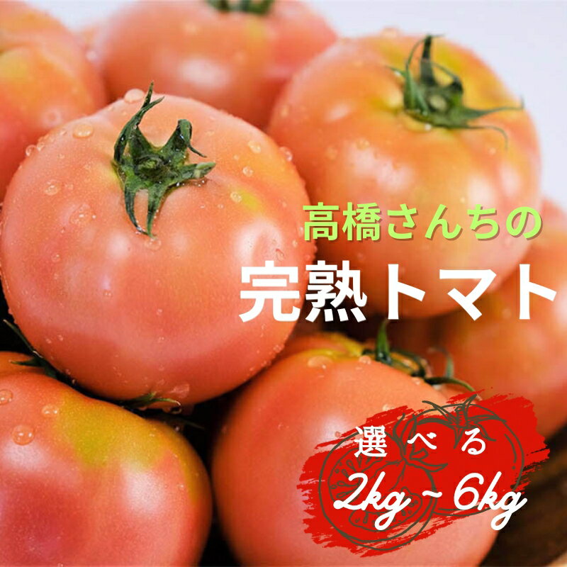 平泉町産 たかはしさんちの完熟トマト 約2〜6kg ( M玉 ) [容量をお選びください] [2024年6月下旬〜9月下旬頃の発送]/ トマト とまと 完熟 樹上完熟 野菜 やさい ベジタブル 甘い 濃厚 美味しい リコピン