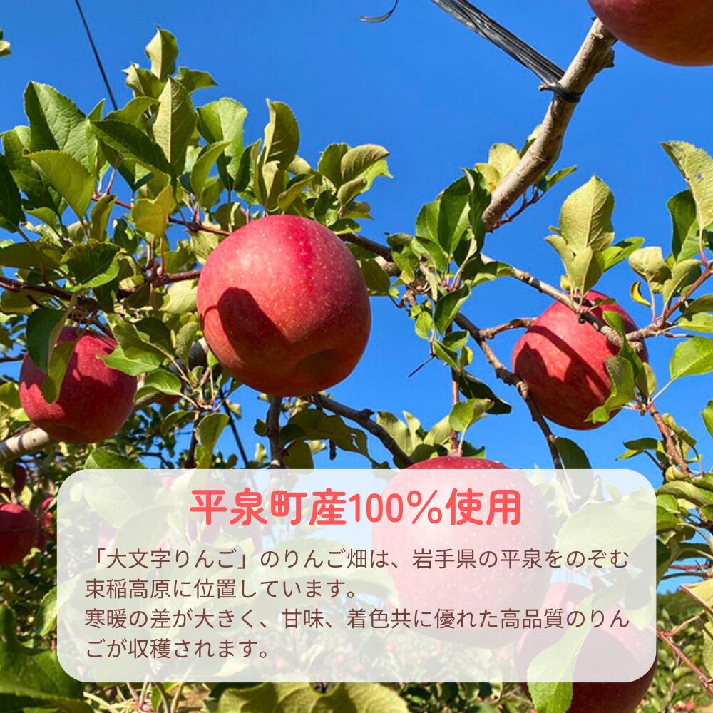 【ふるさと納税】 黄金（りんご）ジュース 3〜6本セット〈平泉町産 完熟りんご 100％使用〉/ りんごジュース 100％ジュース ストレートジュース 大文字りんご 10000円 16000円 林檎 果物 くだもの フルーツ 甘い 飲料 果汁飲料 大文字りんご園