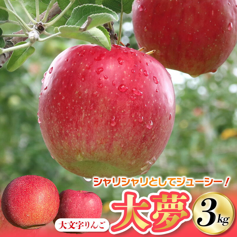 [令和6年度分予約受付]大文字りんご 大夢(おおゆめ) 約3kg (7〜10玉) [2024年11月10日頃より順次発送]/ りんご リンゴ 林檎 果物 くだもの フルーツ 甘い 旬 産地直送 予約 先行予約