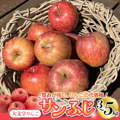 【令和6年度分予約受付】＼選べる容量／ 大文字りんご サンふじ 3kg or 5kg 【2024年12月上旬より順次発送】/ 樹上完熟 りんご リンゴ 林檎 果物 くだもの フルーツ 甘い 旬 産地直送 予約 先行予約