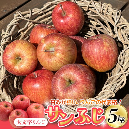 【令和6年度分予約受付】大文字りんご サンふじ 5kg 【2024年12月上旬より順次発送】/ 樹上完熟 りんご リンゴ 林檎 果物 くだもの フルーツ 甘い 旬 産地直送 予約 先行予約