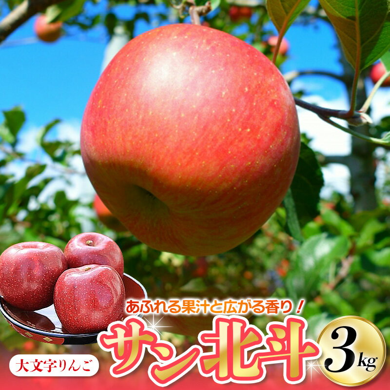 [令和6年度分予約受付]大文字りんご サン北斗 約3kg (7〜10玉) [2024年10月下旬より順次発送]/ 樹上完熟 りんご リンゴ 林檎 果物 くだもの フルーツ 甘い 旬 産地直送 予約 先行予約