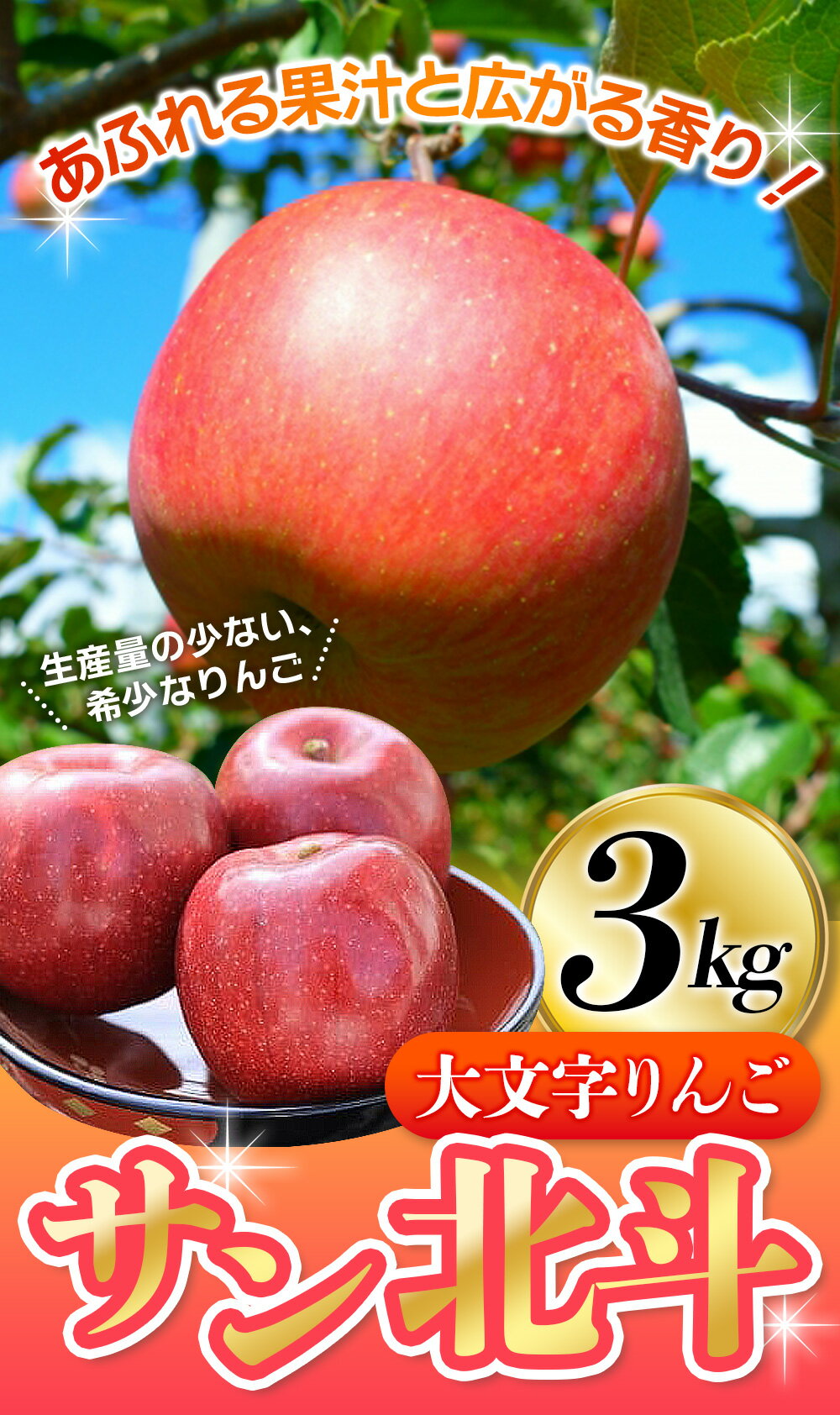 【ふるさと納税】【令和6年度分予約受付】大文字りんご サン北斗 3kg 【2024年11月上旬より順次発送】/ 樹上完熟 りんご リンゴ 林檎 果物 くだもの フルーツ 甘い 旬 産地直送 予約 先行予約