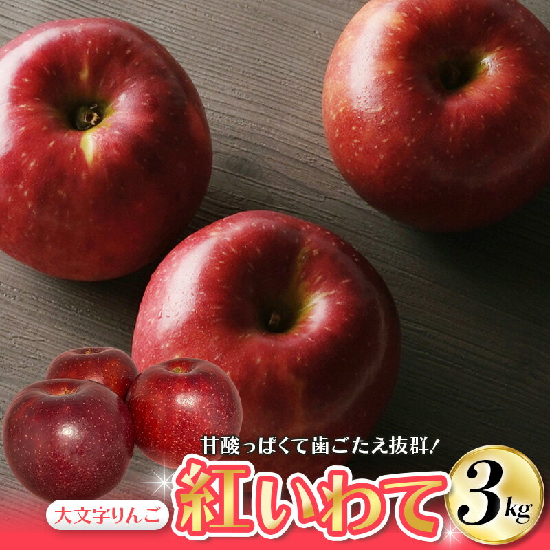 [令和6年度分予約受付]岩手県オリジナル品種 大文字りんご園 紅いわて 約3kg (7〜10玉)[2024年9月20日頃〜9月末にお届け]/ りんご リンゴ 林檎 果物 くだもの フルーツ 甘い 旬 産地直送 予約 先行予約