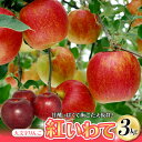 【ふるさと納税】 大文字りんご園 紅いわて 約3kg (7~10玉) / 蜜 15000円 国産 樹上完熟 幻のりんご 林檎 果物 くだもの フルーツ 甘い 旬 産地直送 岩手県オリジナル品種 【2025年9月下旬頃より順次発送】