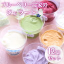 【ふるさと納税】 ブルーベリー農家 の ジェラート 12個パック(自家製ミニソース付き) / 詰め合わせ ブルーベリー 地元素材 野菜 果実 自家製素材 手作り...