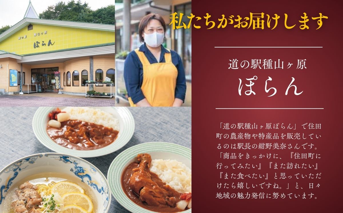 【ふるさと納税】アリスポークカレー5袋セット（辛口2/中辛3)　／ レトルト カレー 辛口 中辛 ポーク 豚 詰め合わせ ご当地 ギフト[#0153_kai] f034410-sumita-10000149 岩手県住田町 サンプル画像3