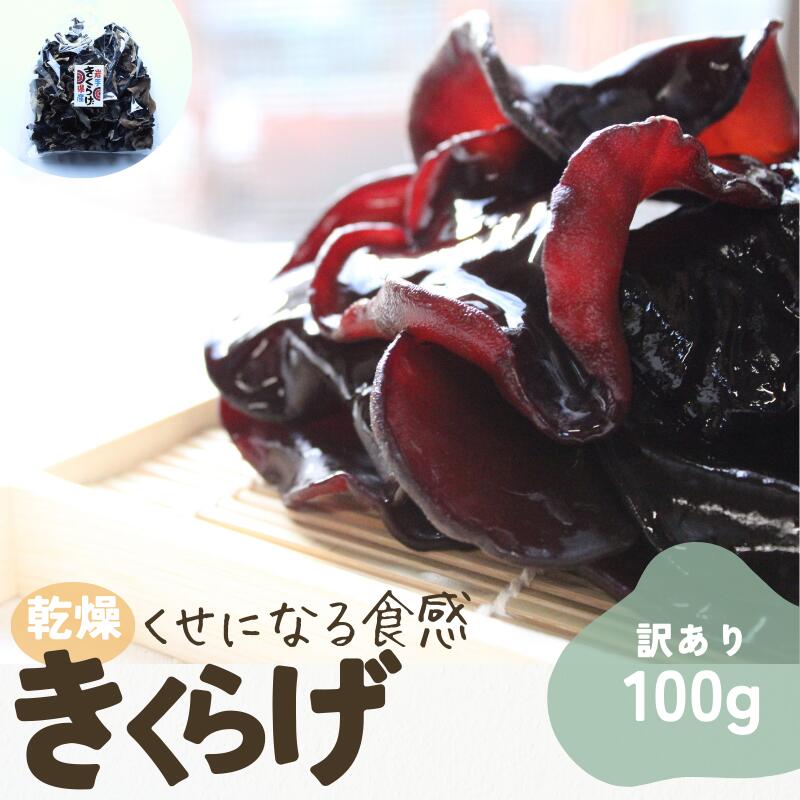 岩手県産 訳あり乾燥きくらげ 100g コリっとプルプル食感がたまらない国産きくらげ / きくらげ 乾燥きくらげ 国産きくらげ キノコ 菌床 岩手県 住田町[#0125_pre]