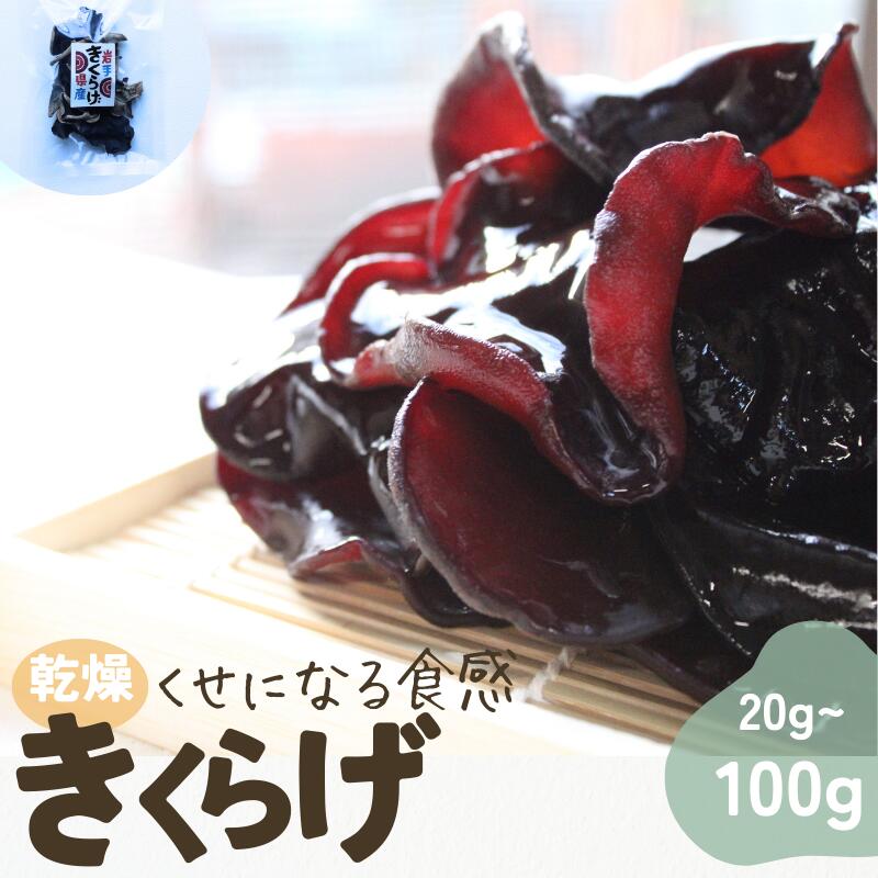 岩手県産 乾燥きくらげ 20g〜100g コリっとプルプル食感がたまらない国産きくらげ / 国産 乾燥 きくらげ 中華料理 炒め物 栄養豊富 健康 きのこ おつまみ おかず 保存食 送料無料 [#0119-0124_pre]