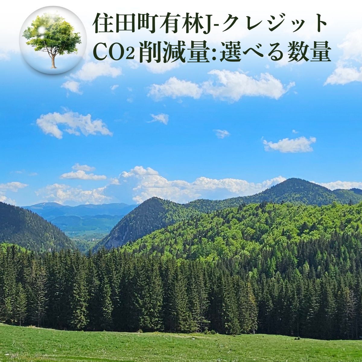 「森林・林業日本一のまちづくり」住田町の町有林(FSC森林認証取得)J-クレジット 選べる数量 二酸化炭素 排出削減 環境保全 森林環境 森林保全 森林整備 エコ 岩手県 [#0160_sum]