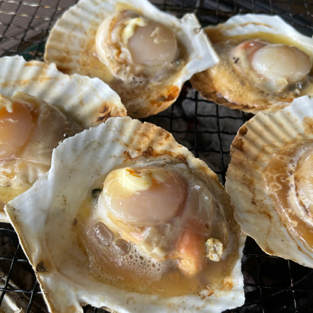 【ふるさと納税】活ほたて 活ホタテ 殻付き 朝獲れ (大30枚) 生食用 逸品 冷蔵 BBQ 三陸産 生食 刺身 帆立 朝獲れ 生 貝柱 大粒 大玉 肉厚 新鮮 海鮮 人気 甘い魚介 魚介類 貝 貝類