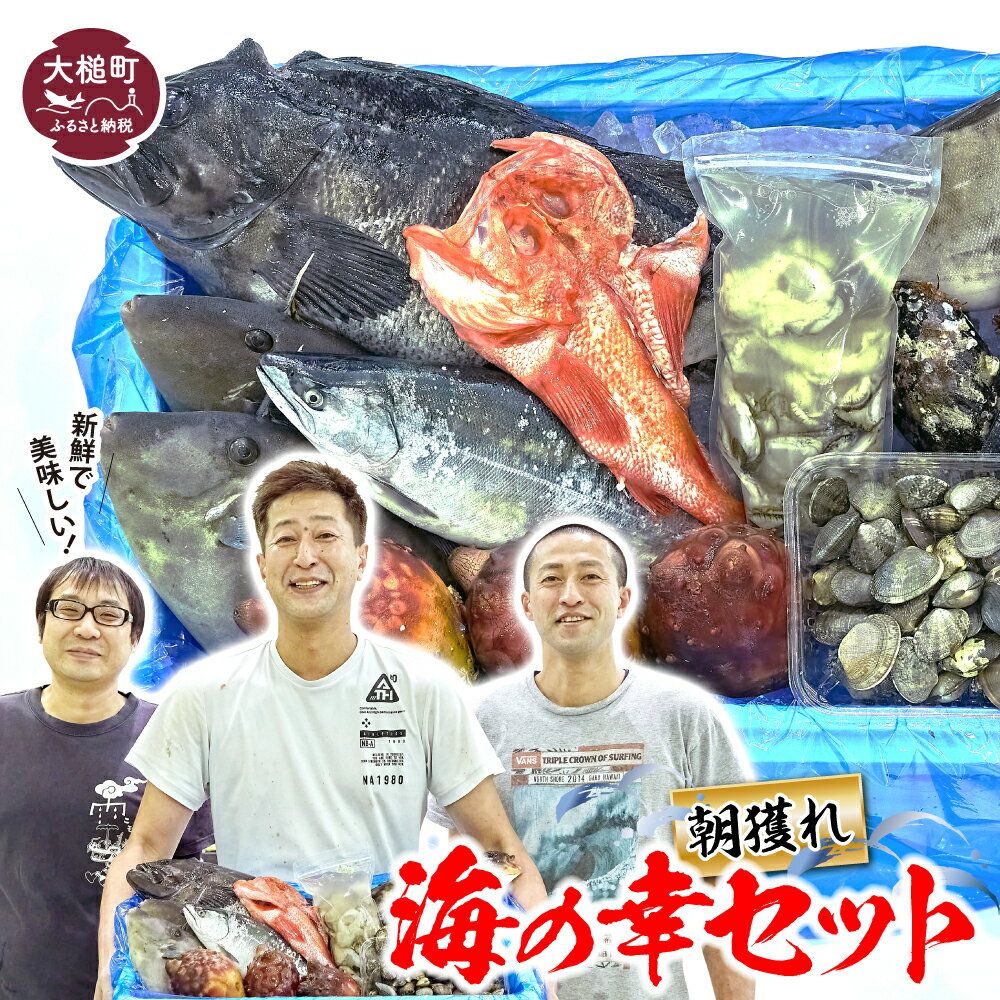 朝獲れ海の幸セット(旬の鮮魚、海藻などの詰合せ) 朝どれ 海の幸 セット 詰合せ 詰め合わせ つめあわせ 魚介 鮮魚 旬 海藻 活魚 岩手県 大槌町