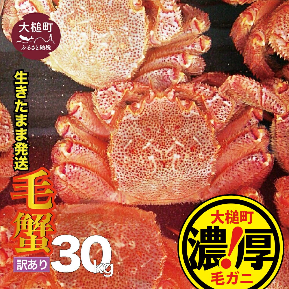 【ふるさと納税】【令和7年2月～4月発送発送】【訳あり】三陸産 活毛ガニ 30kg 活ガニ 活がに 活蟹 毛...