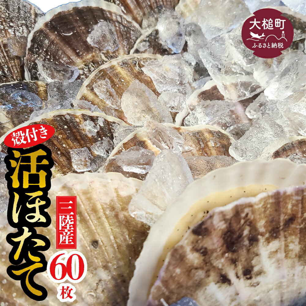 【ふるさと納税】活ほたて 活ホタテ 殻付き 朝獲れ (大60枚) 生食用 逸品 冷蔵 BBQ 三陸産 生食 刺身 帆立 朝獲れ 生 ほたて 貝柱 大粒 大玉 肉厚 新鮮 海鮮 人気 甘い魚介 魚介類 貝 貝類