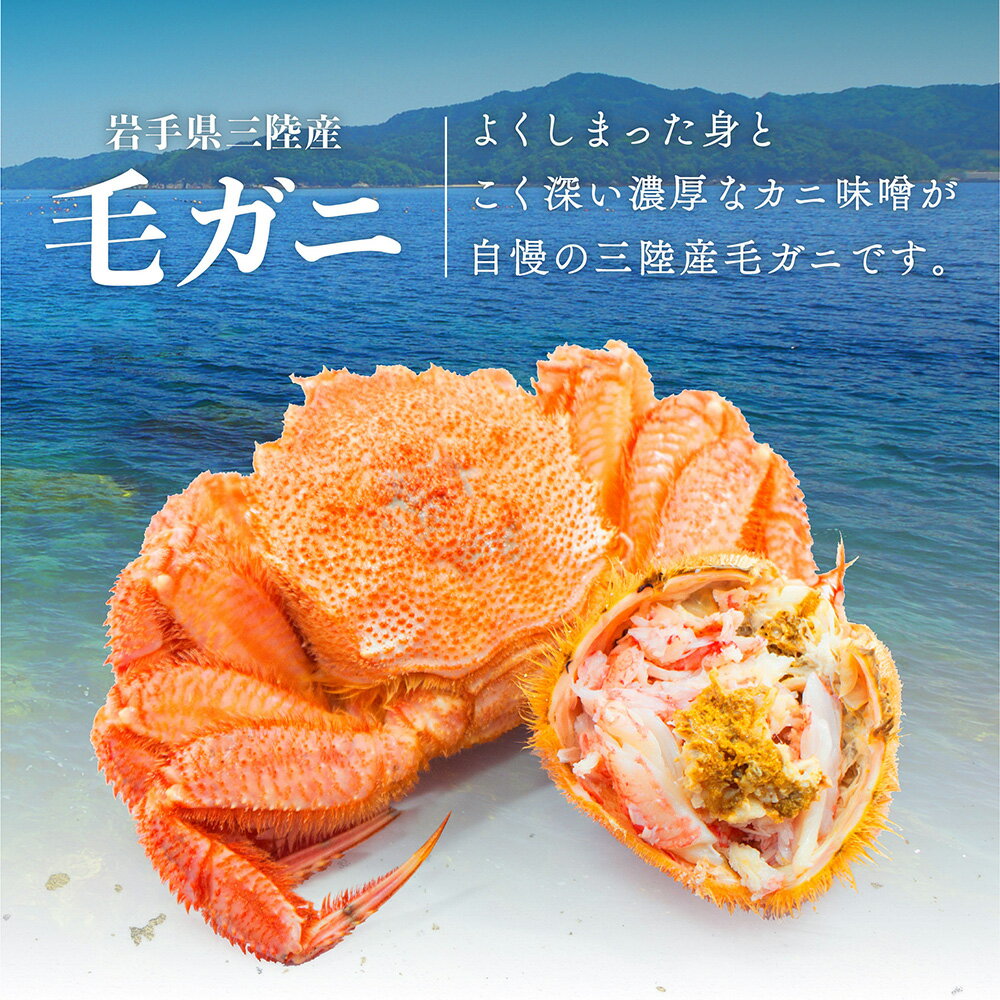 【ふるさと納税】【3回定期便】活毛ガニ 濃厚 毛がに セット (300g×1～2杯) (400g×1～2杯) (500g×1杯)期間限定 冷蔵 生きたまま 発送 三陸産 海産物 蟹 活 毛ガニ 毛がに 蟹 カニ ジャンボ 魚介 かにみそ 毛カニ 活ガニ 活蟹 毛蟹 【2024年2月～4月発送 】先行予約