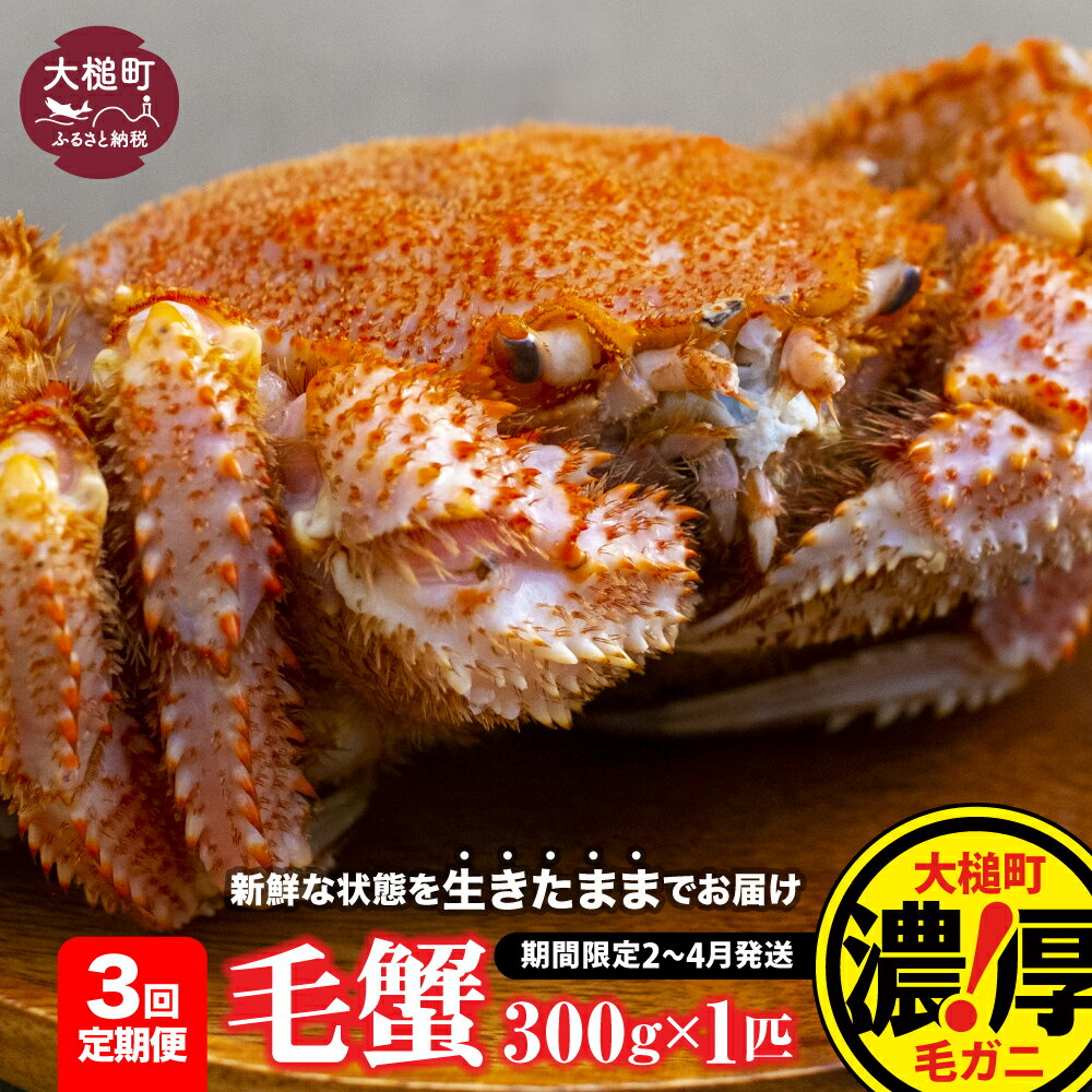 [令和7年発送][3回定期便]活毛ガニ セット (300g×1〜2杯) (400g×1〜2杯) (500g×1杯) ≪2025年2月〜4月発送≫ 期間限定 冷蔵 三陸産 海産物 蟹 活 毛ガニ 毛がに 蟹 カニ ジャンボ 魚介 かにみそ 毛カニ 活ガニ 活蟹 毛蟹 先行予約 濃厚 毛がに