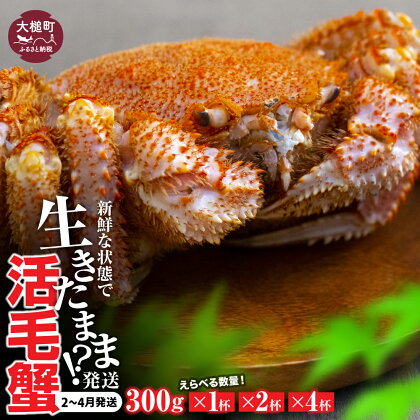 活毛ガニ 1～4杯 ( 300g ～ 1.2kg ) 天然 毛蟹 冷蔵 発送 新鮮 活かに ≪2025年2月～4月発送≫ 期間限定 岩手県大槌町 三陸 いわて iwate