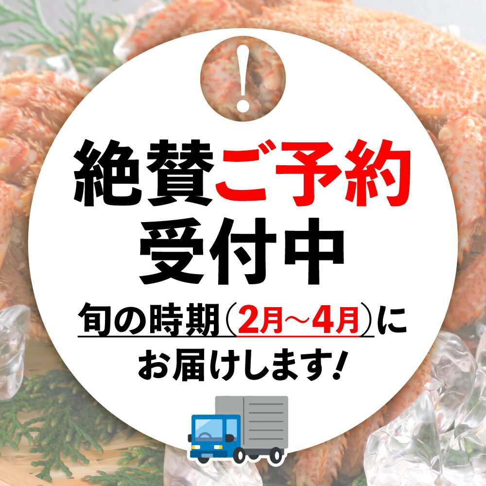 【ふるさと納税】【令和7年発送】活毛ガニ 300g×1杯～100杯 ≪2025年2月～4月発送≫ 天然 毛蟹 冷蔵 発送 新鮮 活かに 期間限定 岩手県大槌町 三陸 いわて iwate