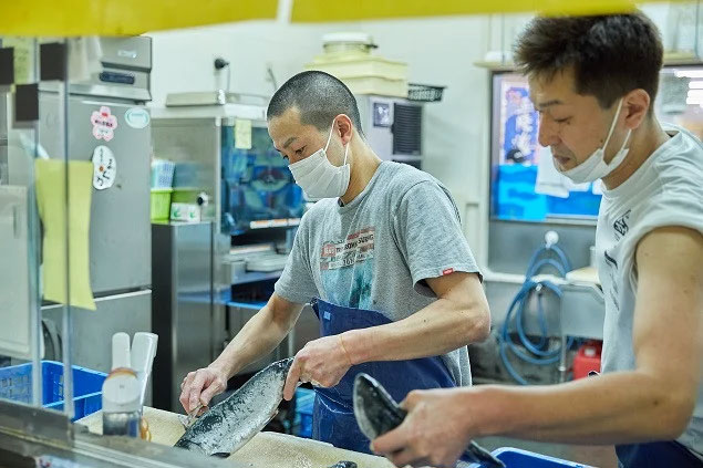 【ふるさと納税】 朝獲れ海の幸セット（旬の鮮魚、海藻などの詰合せ） 朝どれ 海の幸 セット 詰合せ 詰め合わせ つめあわせ 魚介 鮮魚 旬 海藻 活魚 岩手県 大槌町