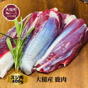 【ふるさと納税】ジビエ 鹿肉 スジ肉 400g 岩手県大槌町 国産 大槌ジビエ 大槌鹿 人気 鹿 肉 シカ しか 冷凍 煮込み 料理 フレンチ 酒 つまみ ご飯のお供 送料無料 MOMIJI 岩手県 いわて iwate…