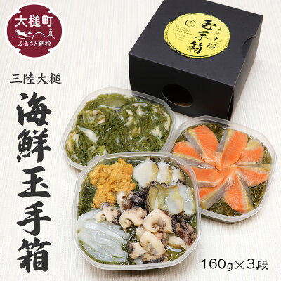 楽天ふるさと納税 【ふるさと納税】ご贈答 三陸 玉手箱 計480g前後 ( 160g前後 ×3段 ) おせち 2024 人気 冷凍 小分け 食べきり 化粧箱 熨斗 のし お取り寄せ ギフト 海宝 味付 漬 海鮮丼 どんぶり ドン 大槌サーモン あわび ホタテ 岩手 いわて iwate