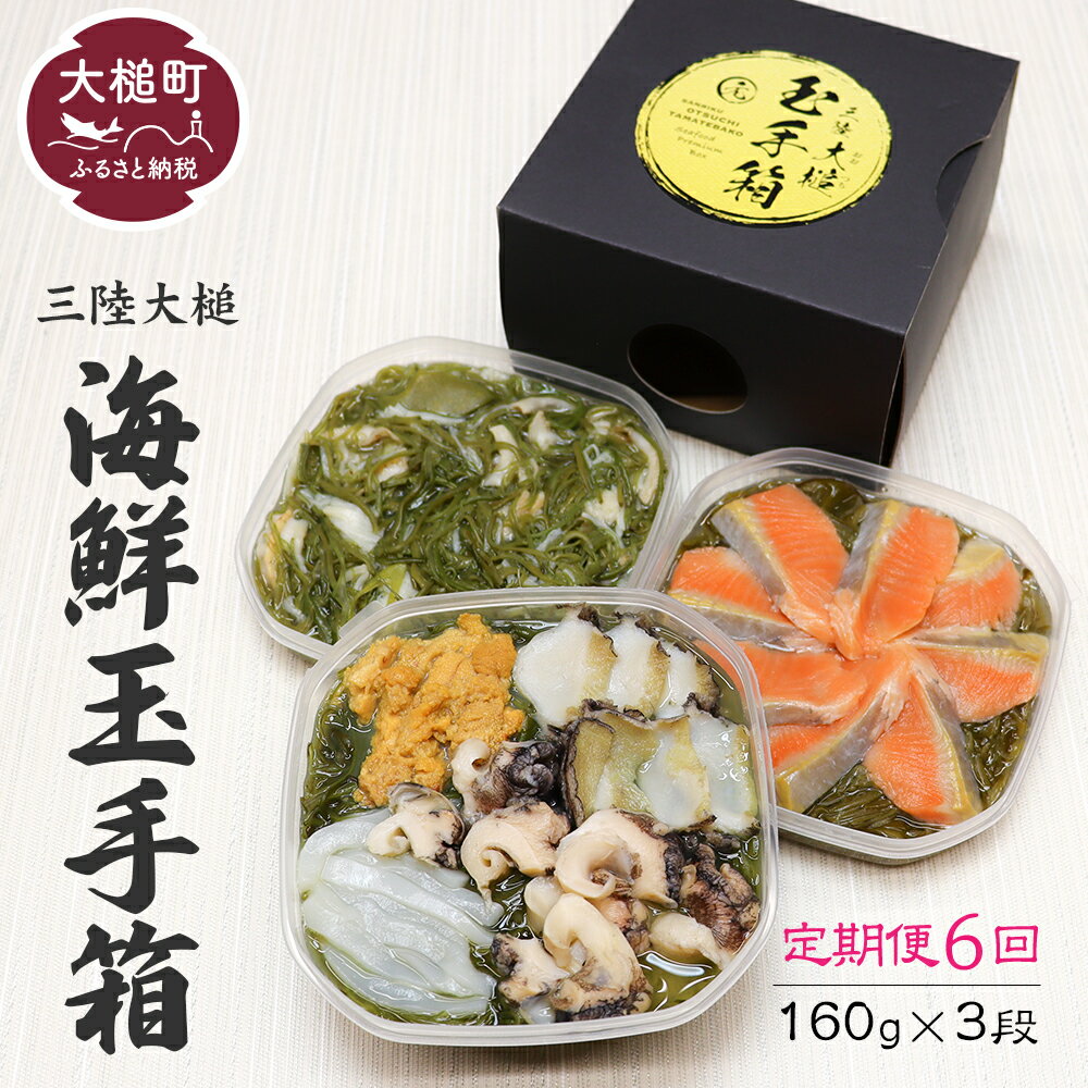 ڤդ뤵Ǽǡ6 £ Φ ̼Ȣ 480g ( 160g 3 ) 6Ϥ  2024 ͵  ʬ ٤ Ȣ  Τ  ե  ̣  ֤ä Ч ɤ֤ ɥ ȥ  ۥ   iwate