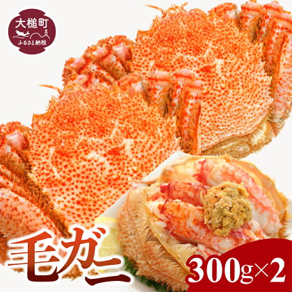 【令和7年発送】三陸産 活毛ガニ (300g×2杯) (250g×3杯) (400g×1杯～2杯) (500g×1杯) 【2025年3月～4月発送先行予約】毛がに 蟹 カニ 三陸 活ガニ 活がに 活蟹 毛蟹 海鮮 魚介 かにみそ 贅沢 海鮮 寿司 ちらし がに ガニ 毛蟹 濃厚