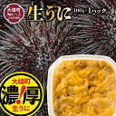 【ふるさと納税】【令和7年発送先行予約】塩水うに100g (1個〜3個)【2025年5月上旬〜8月発送】うに 岩手県大槌町 ウニ 100g 国産 ミョウバン不使...
