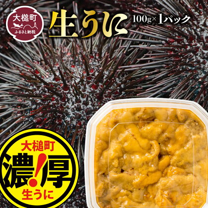 うに 岩手県大槌町 塩水うに【5月～発送先行予約】ウニ 100g 1個 2個 3個 国産 ミョウバン不使用 生うに 収穫した日に発送 朝獲れ 天然【配送日指定不可】 《三陸産 濃厚 味》