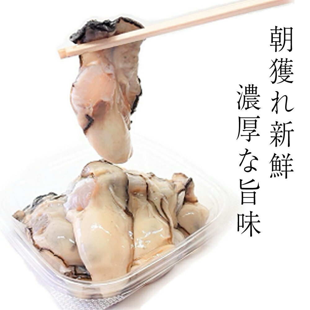 【ふるさと納税】 岩手 三陸 産 むき 牡蠣 300g × 2（ 加熱 用 ）