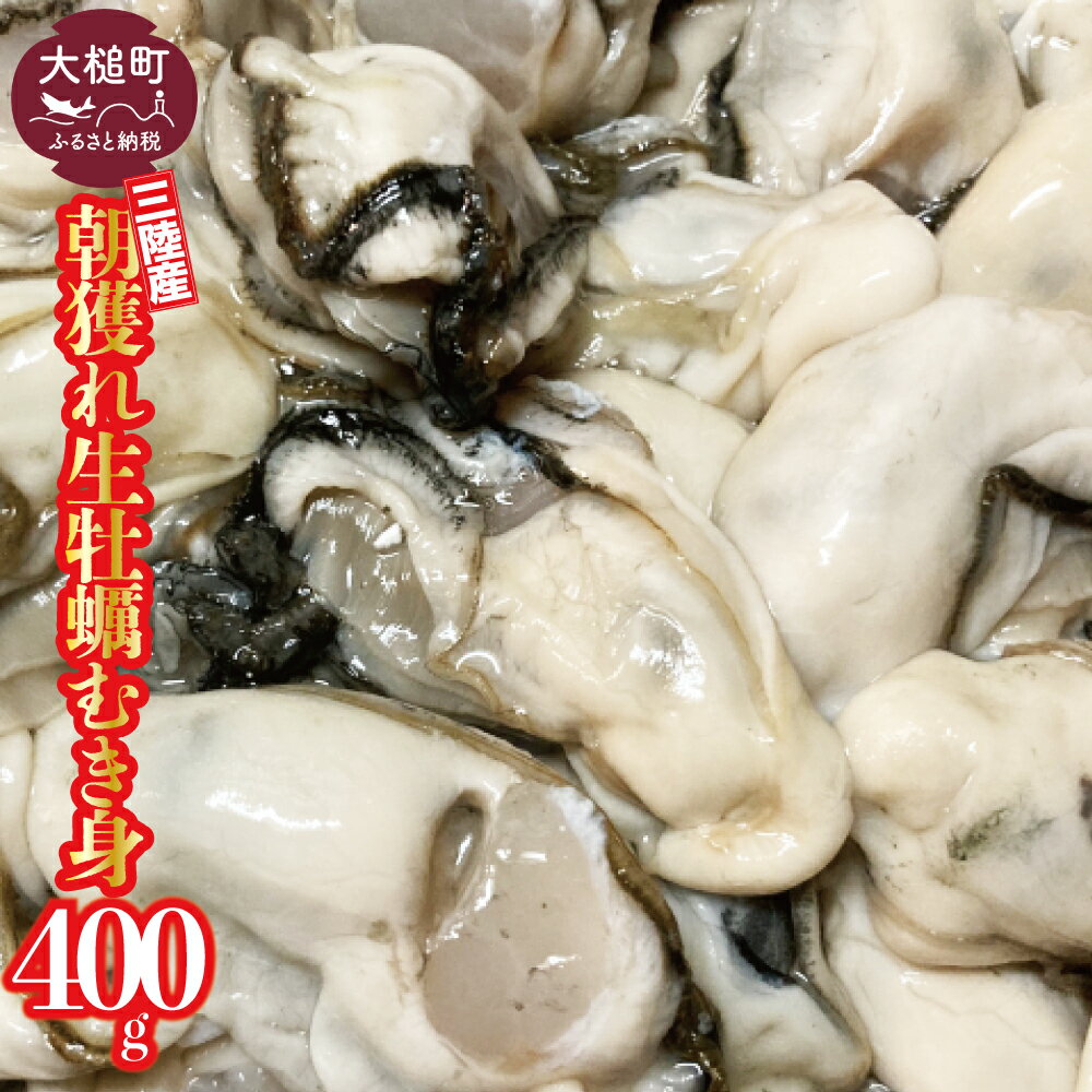 朝獲れ 生牡蠣 むき身 400g 加熱用[配送日・曜日指定不可]