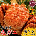 【ふるさと納税】【令和8年発送】三陸産 活毛ガニ 約250g~500g 選べるサイズ/数量【2026年3月~4月発送先行予約】毛がに 蟹 カニ 三陸 活ガニ 活がに 活蟹 毛蟹 海鮮 魚介 かにみそ 贅沢 海鮮 寿司 ちらし がに ガニ 毛蟹 濃厚