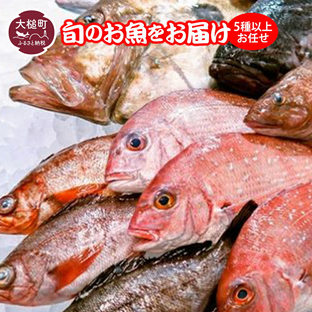 5種以上お任せ 期間限定 5月〜12月中旬発送 旬 の お魚 をお届け 三陸産 冷蔵