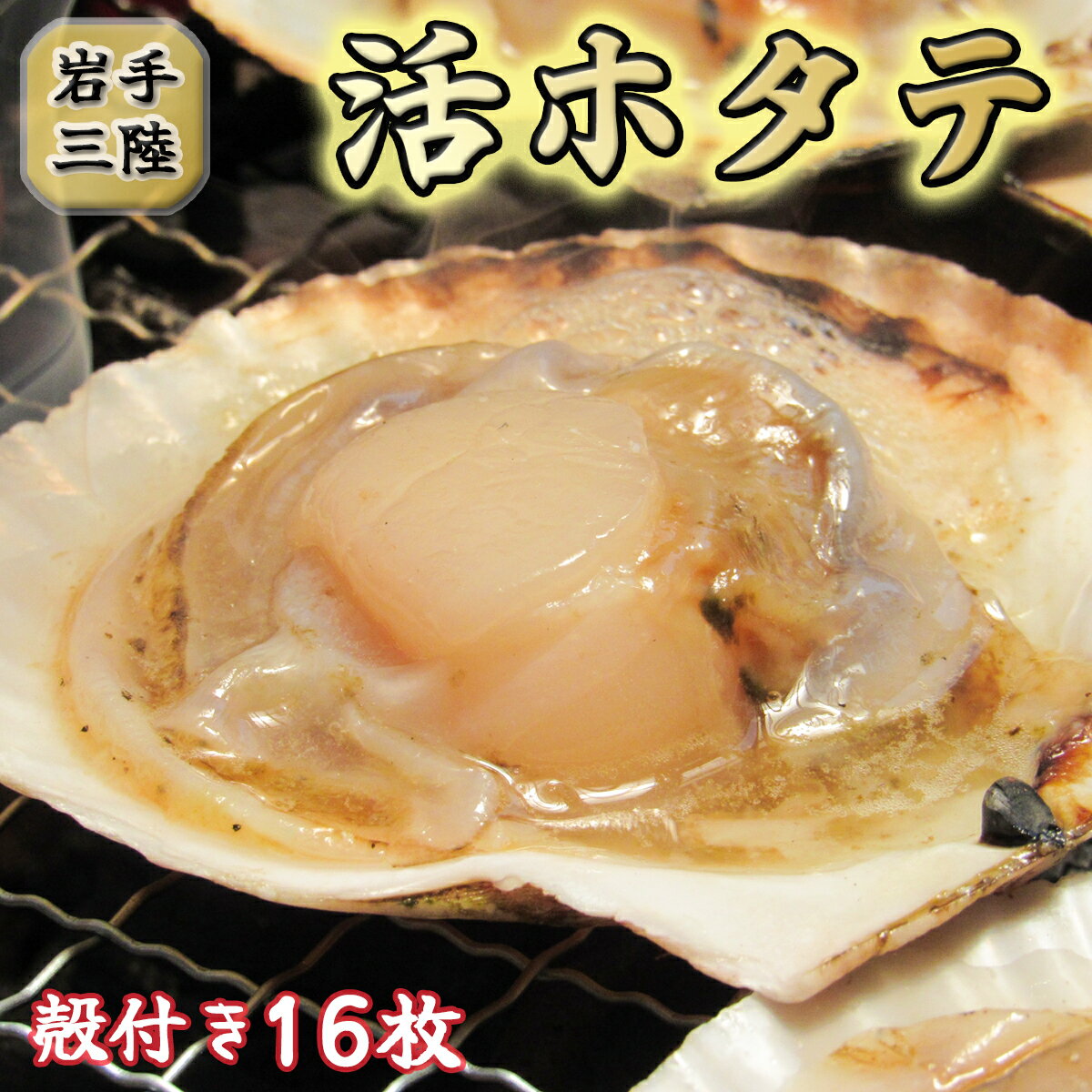 【ふるさと納税】 活ホタテ（殻付き）セット 16枚 ( 軍手 ・ へら付き ) 冷蔵 生食 刺身 帆立 朝獲れ BBQ 三陸産 生 ほたて 貝柱 新鮮 海鮮 人気 甘い魚介 魚介類 貝 貝類