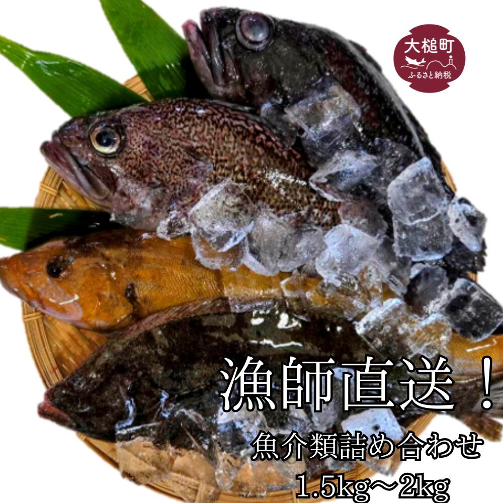 【ふるさと納税】 漁師直送!お任せ魚介類の詰め合わせ 1.5kg~2kg 【オリジナルクリアファイル付き】【期間限定1月~3月発送】