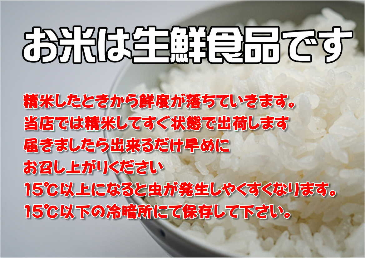 【ふるさと納税】 【定期便/3ヶ月】令和5年産岩手県産ひとめぼれ5kg 米 白米 国産 精米