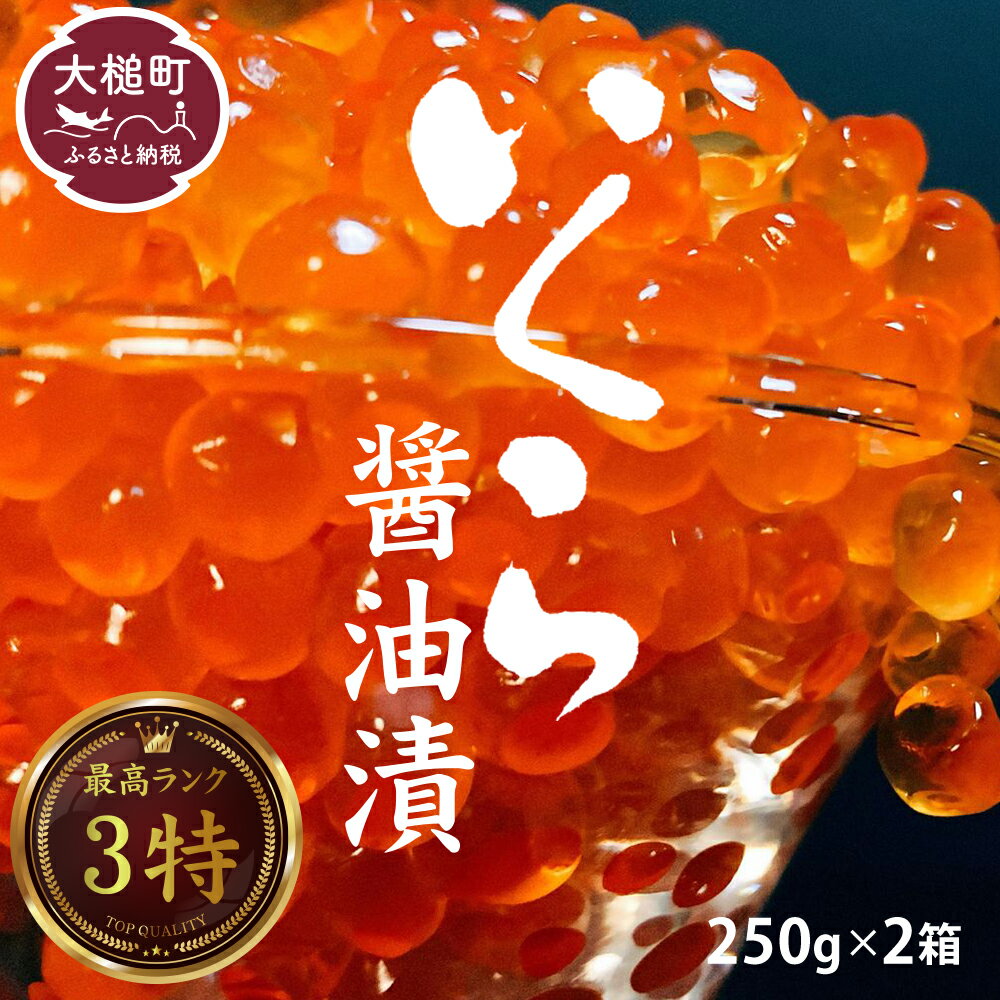 いくら 醤油漬け 国産 数量限定 250g × 2箱(計500g)冷凍 イクラ 鮭 秋鮭 魚卵 海鮮 ikura 極上品 3特 おせち 魚 サケ 鮭いくら 鮭卵 さけ 卵 ご飯 イクラ丼 お祝い 縁起物 グルメ のし 送料無料 岩手県大槌町 TRS