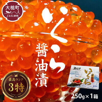 楽天ふるさと納税　【ふるさと納税】いくら 醤油漬け 国産 数量限定 250g × 1箱 冷凍 イクラ 鮭 秋鮭 魚卵 海鮮 ikura 極上品 3特 おせち 魚 サケ 鮭いくら 鮭卵 さけ 卵 ご飯 イクラ丼 お祝い 縁起物 食品 グルメ のし 送料無料 岩手県 大槌町 TRS