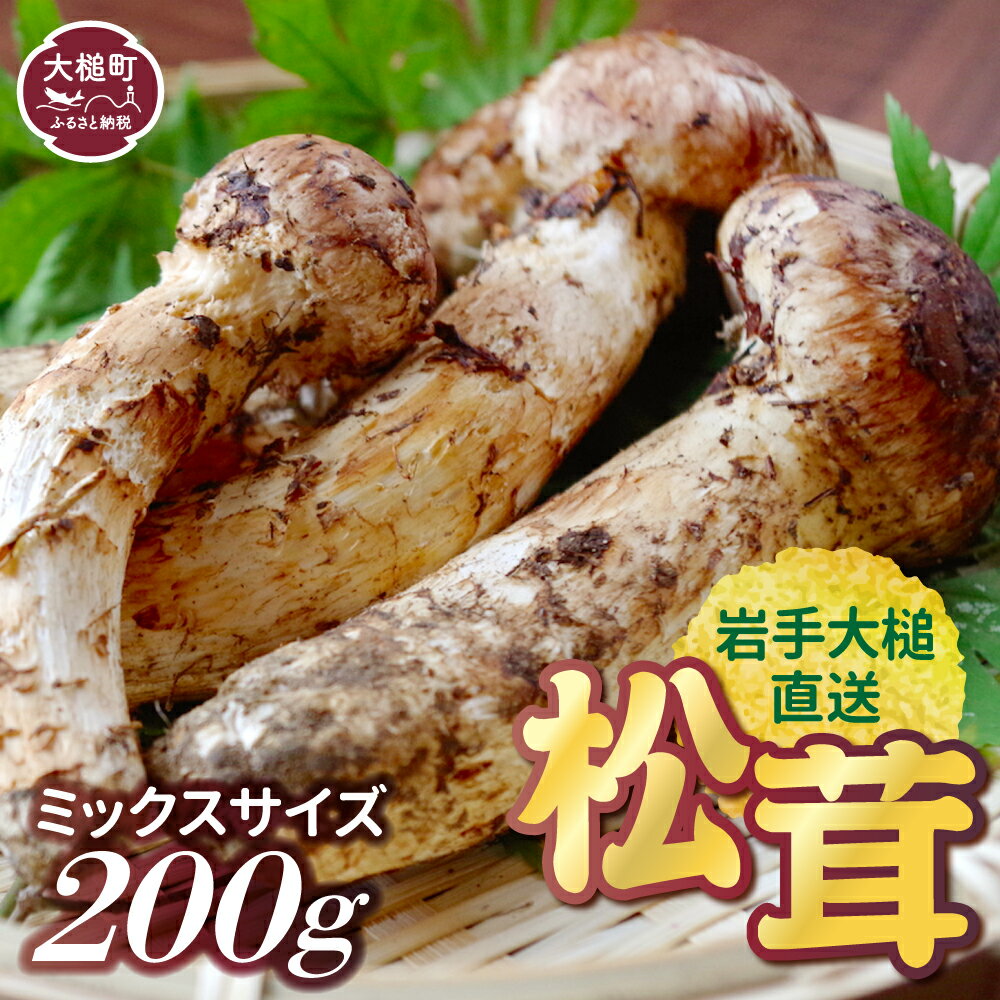 [先行予約]松茸 200g 岩手 県 産 国産 ミックス サイズ まつたけ 岩手県大槌町[令和6年10月より発送]天然 期間限定 季節限定 産地直送 希少 秋 山の幸 きのこ キノコ ご飯 土瓶 蒸し 送料無料 国内産 いわて iwate