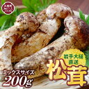 【ふるさと納税】《先行予約》松茸 200g 岩手 県 産 国