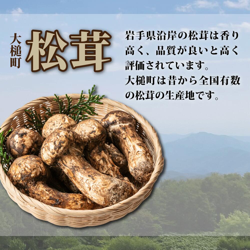 【ふるさと納税】《先行予約》松茸 200g 岩手 県 産 国産 ミックス サイズ まつたけ 岩手県大槌町【令和6年10月より発送】天然 期間限定 季節限定 産地直送 希少 秋 山の幸 きのこ キノコ ご飯 土瓶 蒸し 送料無料 国内産 いわて iwate