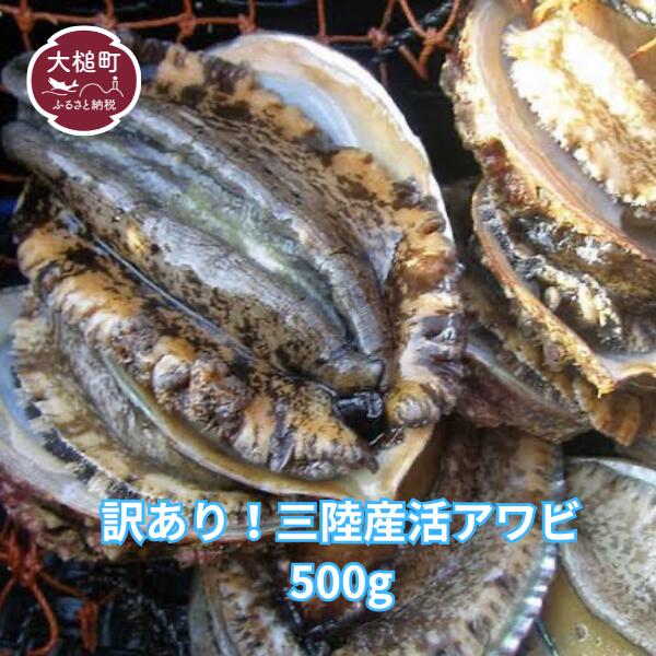 【ふるさと納税】 【※訳あり※】【2025年11月～12月発送】活アワビ 500g (4個～6個) 【期間限定】【配送日・曜日指定不可】｜11月～12月発送 三陸 岩手県 大槌町 あわび 人気 鮑 刺身 いわて iwate