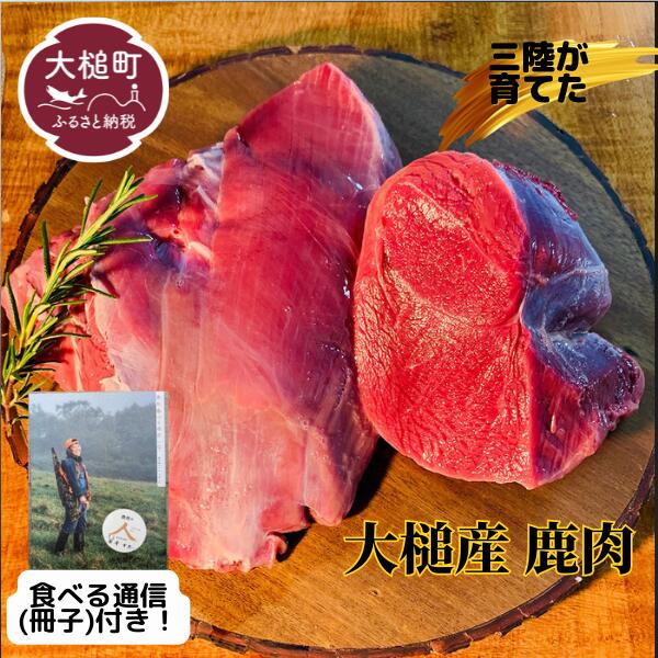 ジビエ 鹿肉 モモ 肉 岩手県大槌町（200g ＆ 冊子）大槌ジビエ 大槌鹿 鹿 肉 国産 赤身 ヘルシー 塊肉 ブロック ロースト ステーキ 焼肉 煮込み料理 竜田揚げ 冷凍 送料無料 MOMIJI 岩手県 いわて iwate 三陸 大槌