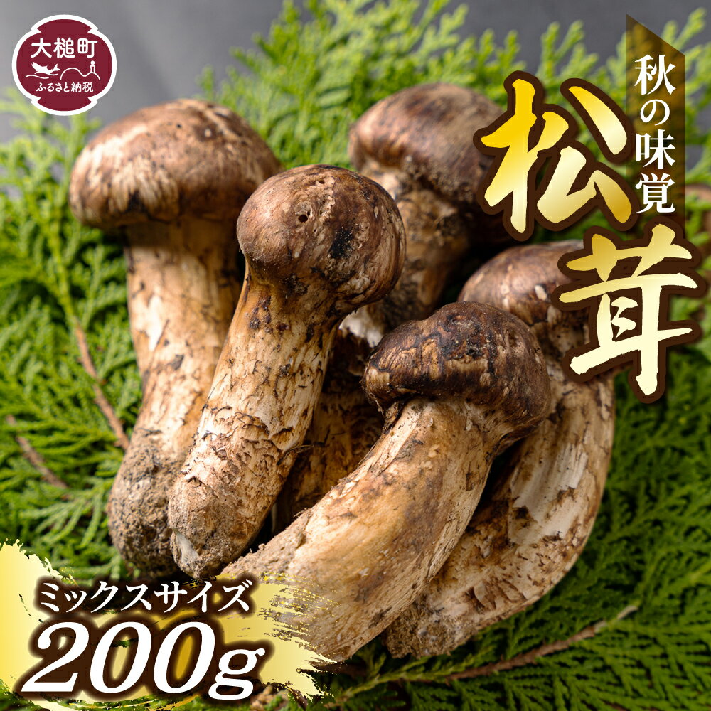 令和6年10月より発送】松茸 200g 岩手 県 産 国産 まつたけ マツタケ