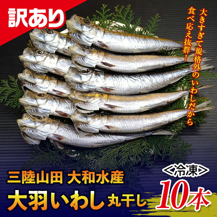 魚介類・水産加工品(イワシ)人気ランク4位　口コミ数「3件」評価「4」「【ふるさと納税】訳あり 大和水産の大羽いわし 丸干し 10本 規格外 マイワシ まいわし 干物 鰯 さかな 魚介類 YD-568」