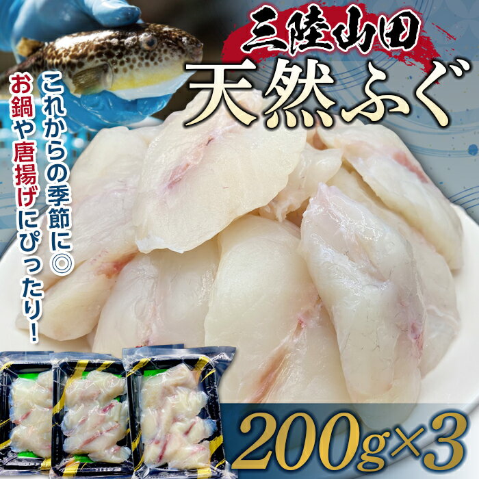 三陸山田の天然ふぐ 600g YD-572