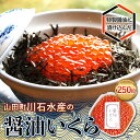 【ふるさと納税】 川石水産の醤油いくら 250g YD-591